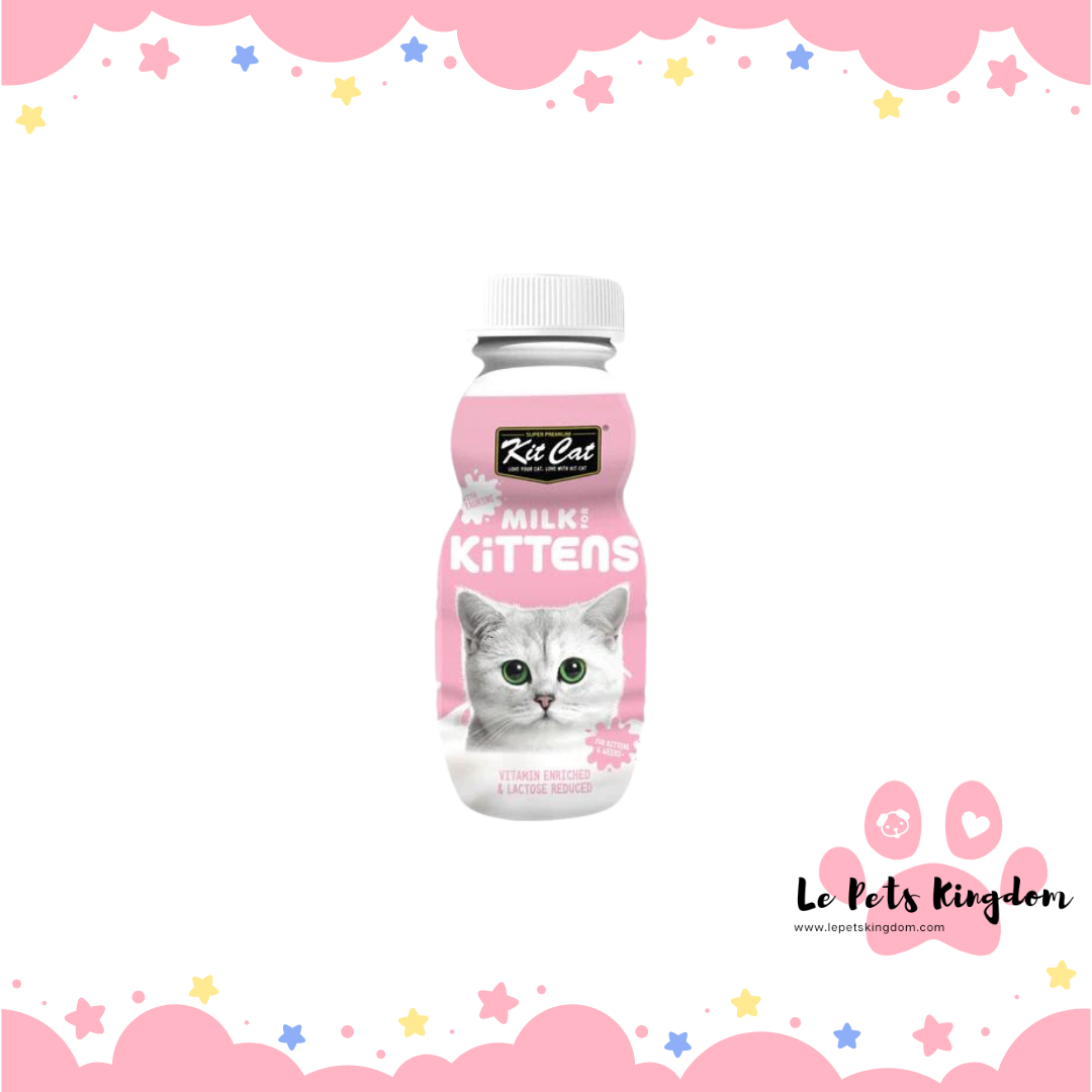 Kit 2024 cat milk