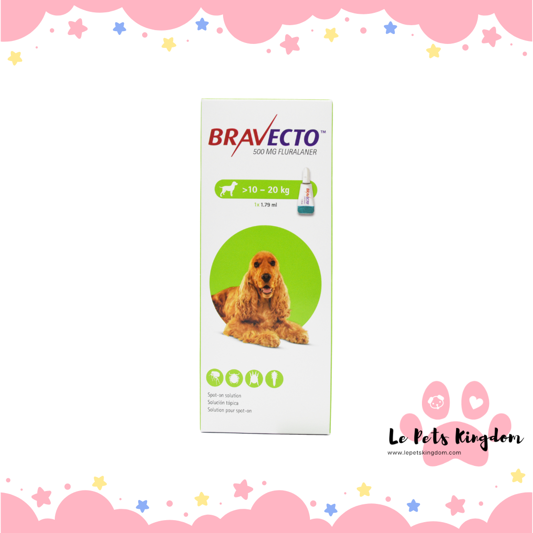 Bravecto Spot On Medium Dog (500mg) 10kg to 20kg