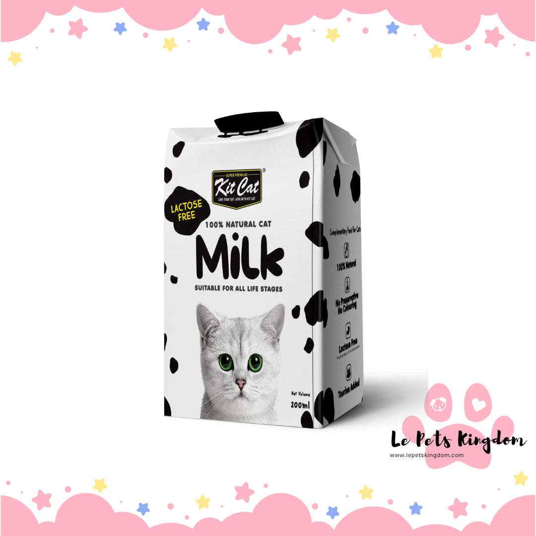 Kitcat Milk 200ml