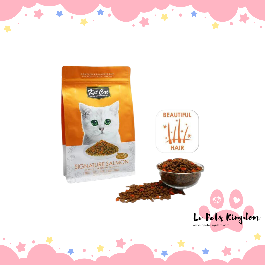 Kit Cat Signature Salmon Dry Cat Food