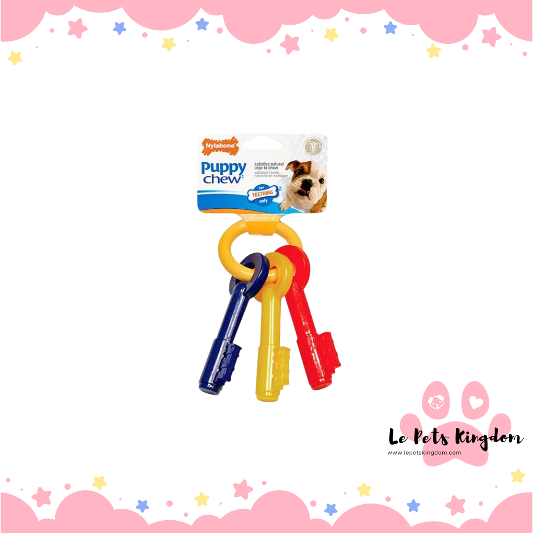 Nylabone Puppy Teething Keys