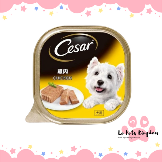 Cesar Chicken Wet Dog Food 100g