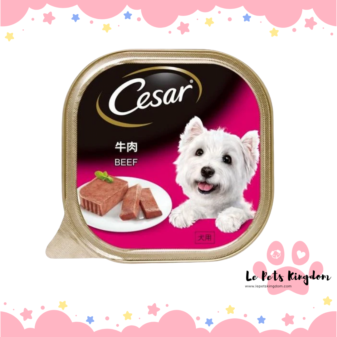 Cesar Beef Wet Dog Food 100g
