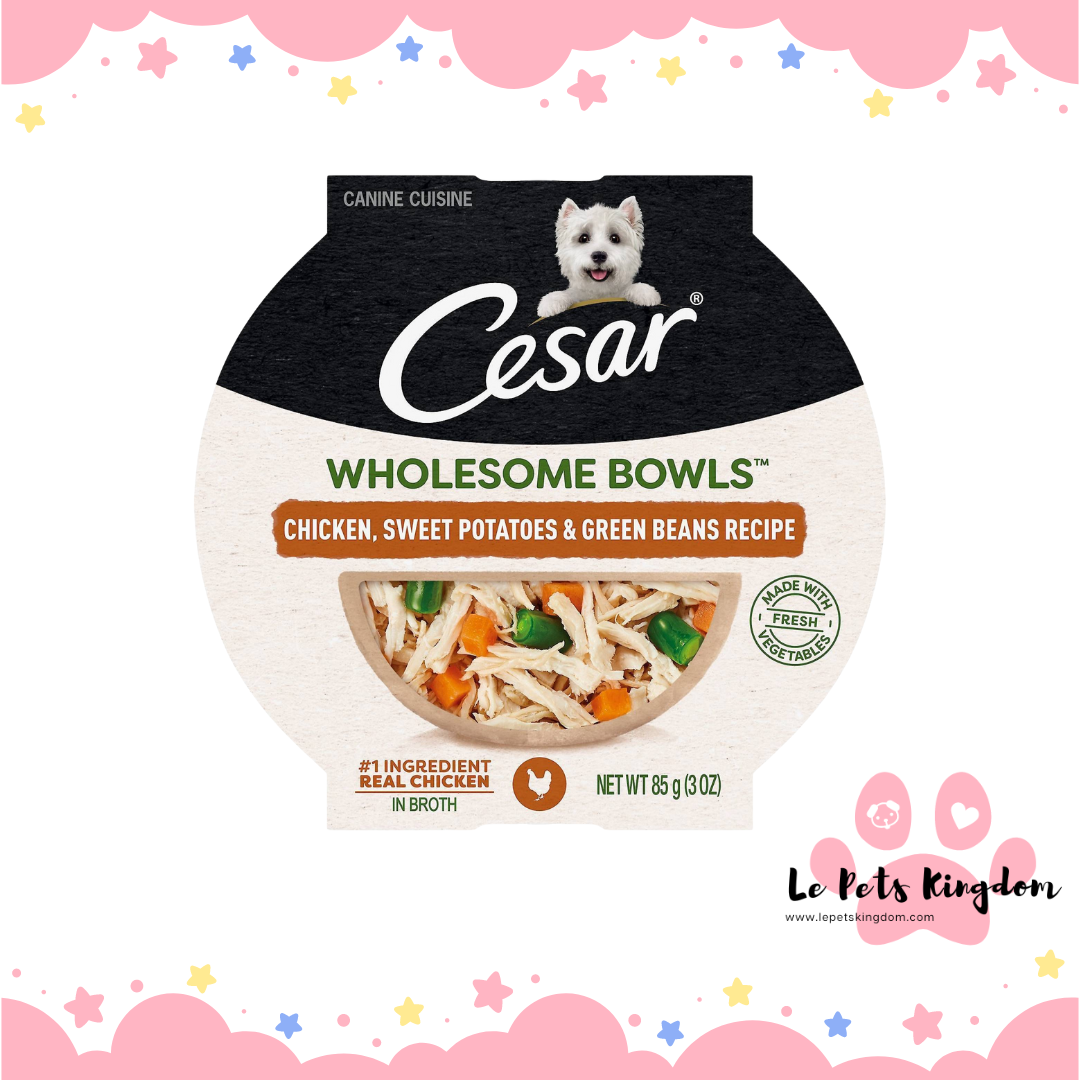 CESAR WHOLESOME BOWLS™ Adult Wet Dog Food Chicken, Sweet Potato & Green Beans 85g