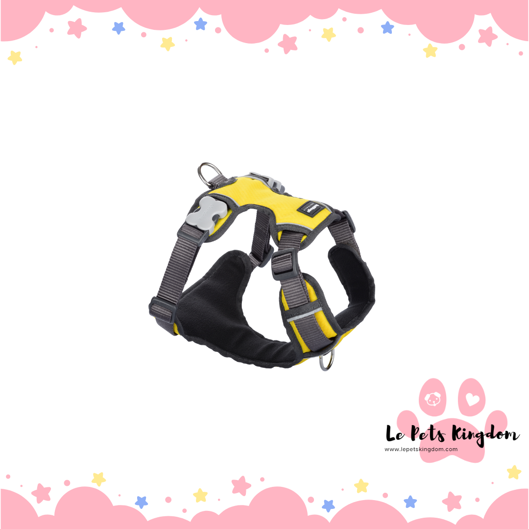 Red Dingo - Padded Dog Harness (Yellow)