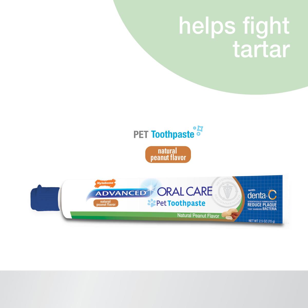 Nylabone Advanced Oral Care Natural Toothpaste